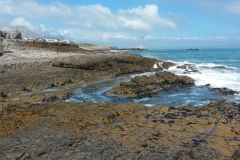 Brilliant views from the rocks in Hermanus of walker Bay