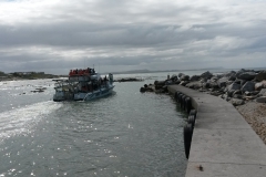 Shark Boat launching from Gansbaai Harbour