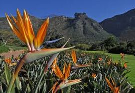 cape-town-garden-route-tour-03