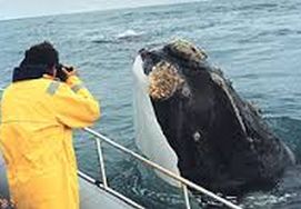 cape-town-garden-route-tour-07