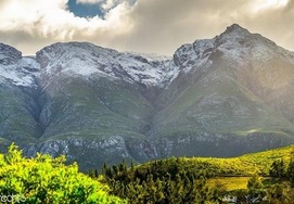 Cape-Town-Garden-Route-4 Day Private Tour