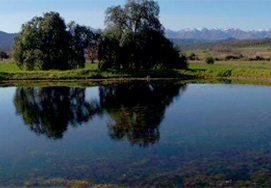 Cape-Town-Garden-Route-Private 5 Day tour package with Cango Caves