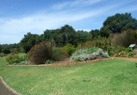 cape-town-garden-route12-kirstenbosch-5