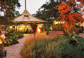 cape-town-garden-route12-spier-9