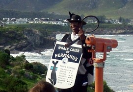 cape-town-garden-route12-whalecryer-9