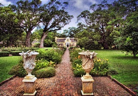 cape-town-vergelegen-tour10