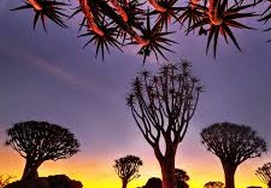 cape-town-south-africa-namibia13