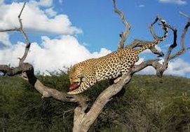 cape-town-south-africa-namibia