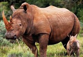 cape-town-7day-holiday6