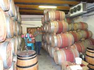 Aged Oak Wine barrels in a cellar doing what it does best.
