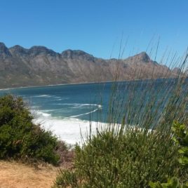 2 DAY HERMANUS & WHALE ROUTE