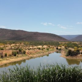 9 DAY CAPE TOWN HOLIDAY