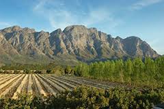 Cape Winelands Tour