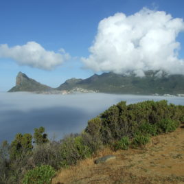 Hout Bay harbour with the Sentinal in view.